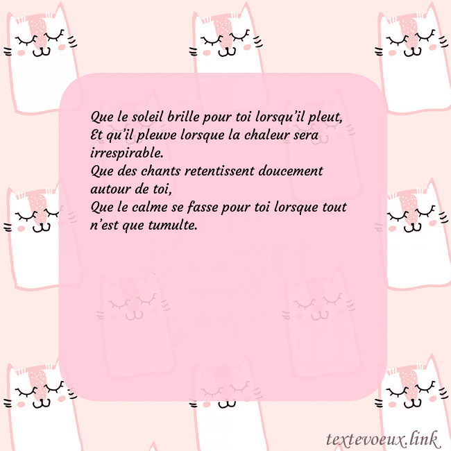 Carte de voeux rose avec des chats drôles