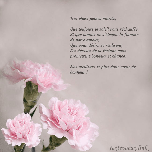 Carte de voeux avec oeillets roses Très chers jeunes mariés,
Que toujours le soleil Carte de voeux avec oeillets roses