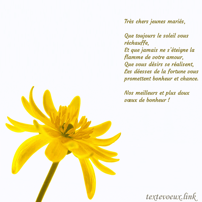 Carte de voeux avec fleur jaune Très chers jeunes mariés,
Que toujours le soleil Carte de voeux avec fleur jaune