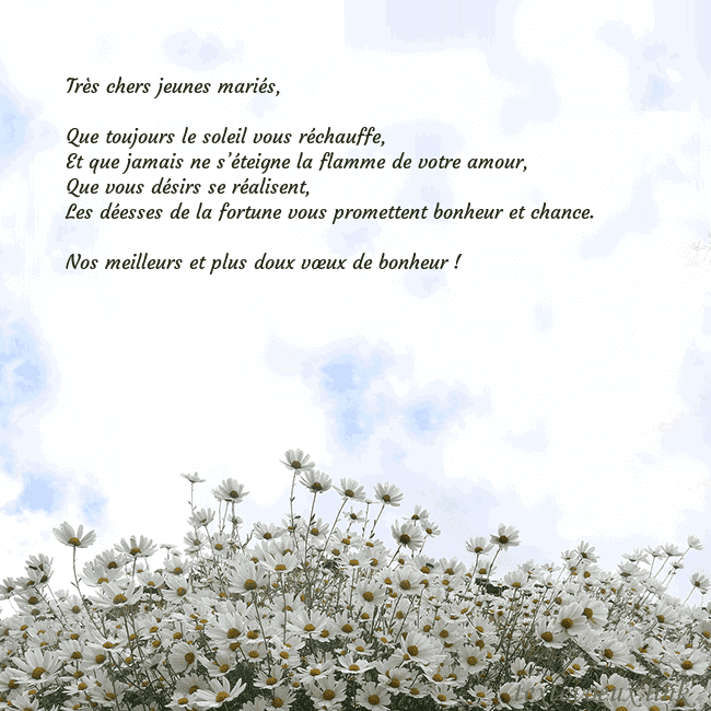 Carte de voeux avec marguerites Très chers jeunes mariés,
Que toujours le soleil Carte de voeux avec marguerites