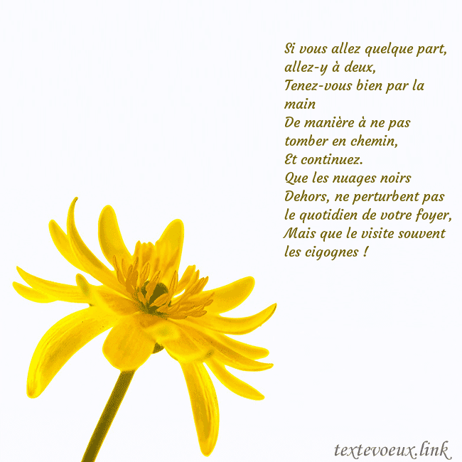 Carte de voeux avec fleur jaune Si vous allez quelque part, allez-y à deux,
Tenez- Carte de voeux avec fleur jaune