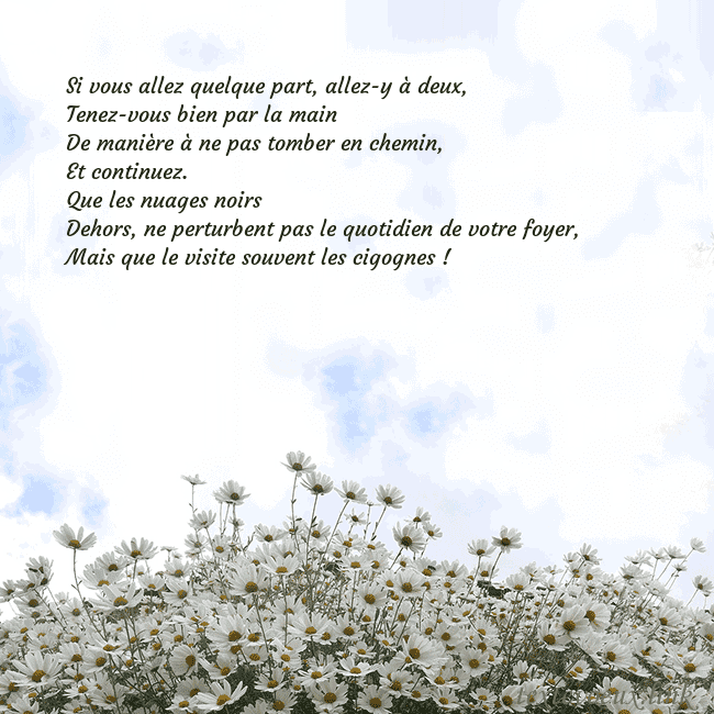 Carte de voeux avec marguerites Si vous allez quelque part, allez-y à deux,
Tenez- Carte de voeux avec marguerites