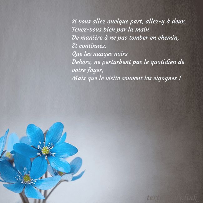 Carte postale avec violettes Si vous allez quelque part, allez-y à deux,
Tenez- Carte postale avec violettes