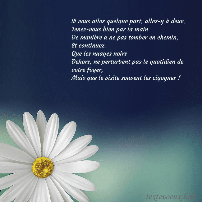 Carte postale avec une grande marguerite