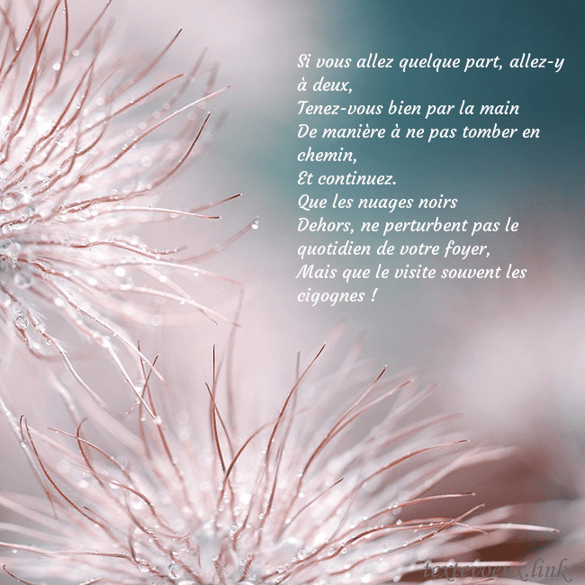 Carte postale avec des plantes duveteuses Si vous allez quelque part, allez-y à deux,
Tenez- Carte postale avec des plantes duveteuses