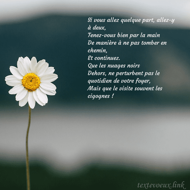 E-carte avec marguerite Si vous allez quelque part, allez-y à deux,
Tenez- E-carte avec marguerite