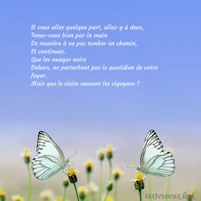 Carte de mariage avec deux papillons Si vous allez quelque part, allez-y à deux,
Tenez- Carte de mariage avec deux papillons