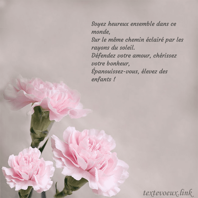 Carte de voeux avec oeillets roses