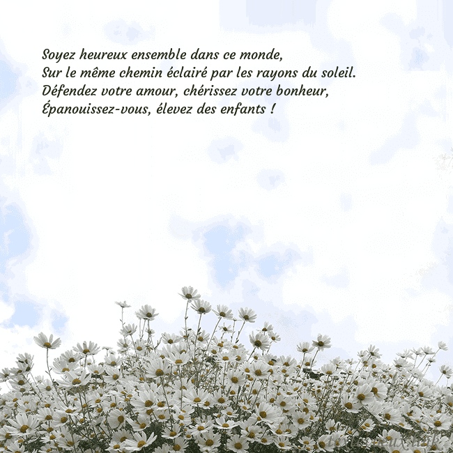 Carte de voeux avec marguerites