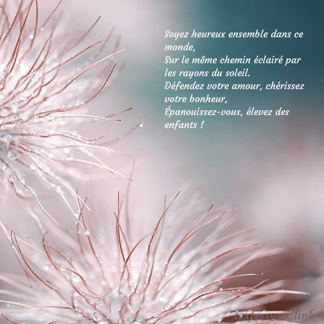 Carte postale avec des plantes duveteuses Soyez heureux ensemble dans ce monde,
Sur le même Carte postale avec des plantes duveteuses