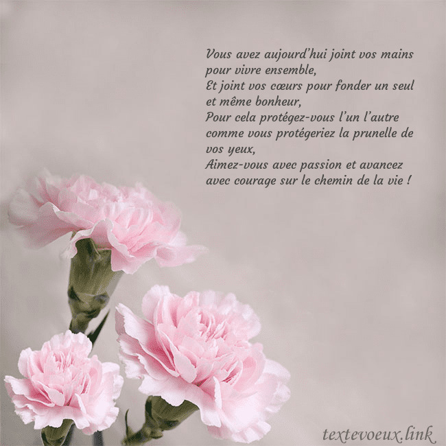 Carte de voeux avec oeillets roses Vous avez aujourd’hui joint vos mains pour vivre e Carte de voeux avec oeillets roses