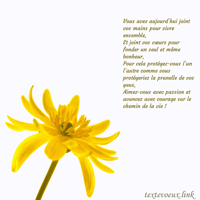 Carte de voeux avec fleur jaune Vous avez aujourd’hui joint vos mains pour vivre e Carte de voeux avec fleur jaune