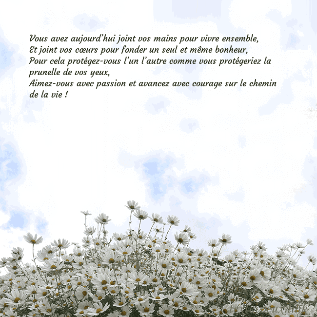 Carte de voeux avec marguerites Vous avez aujourd’hui joint vos mains pour vivre e Carte de voeux avec marguerites