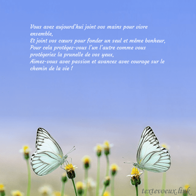 Carte de mariage avec deux papillons Vous avez aujourd’hui joint vos mains pour vivre e Carte de mariage avec deux papillons