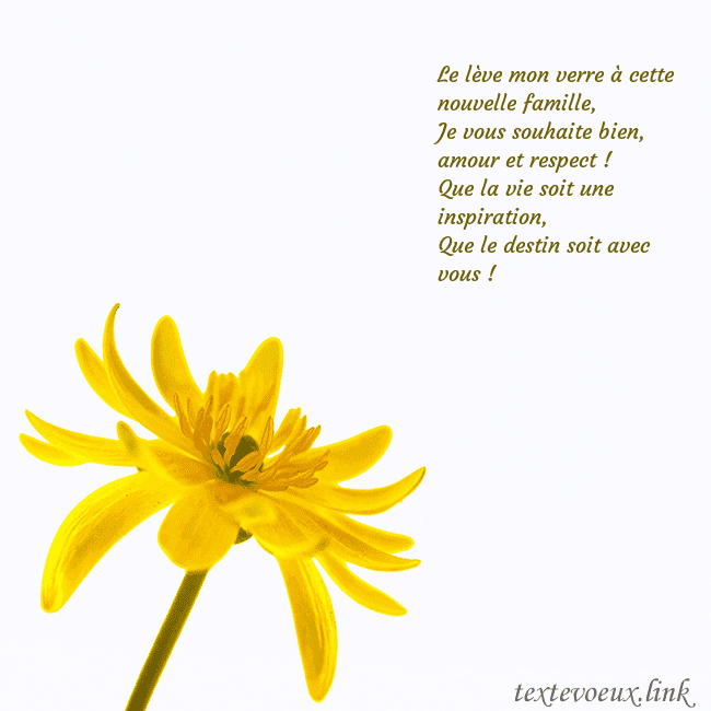 Carte de voeux avec fleur jaune Le lève mon verre à cette nouvelle famille,
Je vo Carte de voeux avec fleur jaune