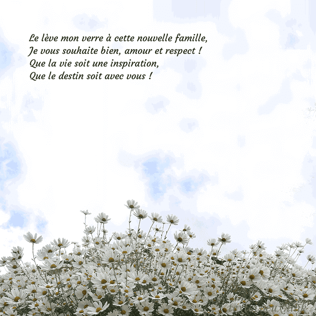 Carte de voeux avec marguerites Le lève mon verre à cette nouvelle famille,
Je vo Carte de voeux avec marguerites