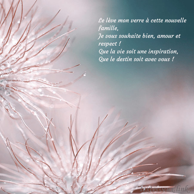 Carte postale avec des plantes duveteuses Le lève mon verre à cette nouvelle famille,
Je vo Carte postale avec des plantes duveteuses