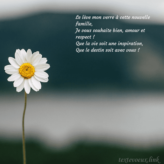 E-carte avec marguerite