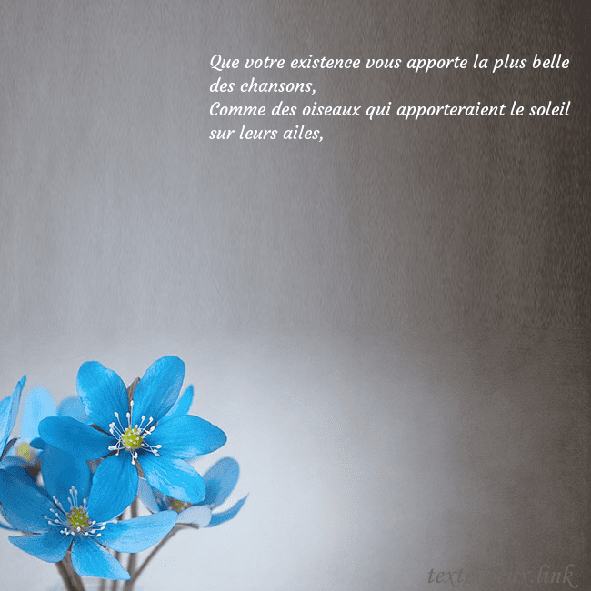 Carte postale avec violettes Que votre existence vous apporte la plus belle des Carte postale avec violettes