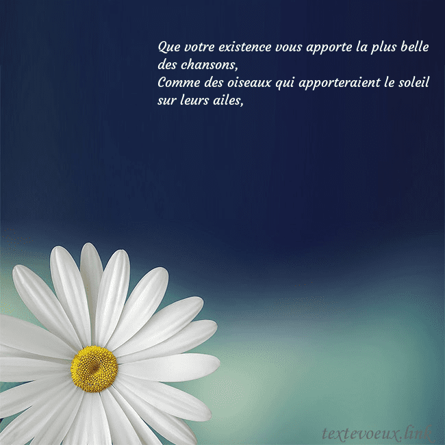 Carte postale avec une grande marguerite Que votre existence vous apporte la plus belle des Carte postale avec une grande marguerite