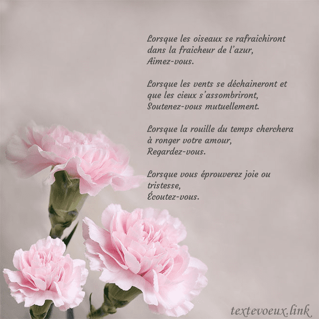 Carte de voeux avec oeillets roses Lorsque les oiseaux se rafraichiront dans la fraic Carte de voeux avec oeillets roses