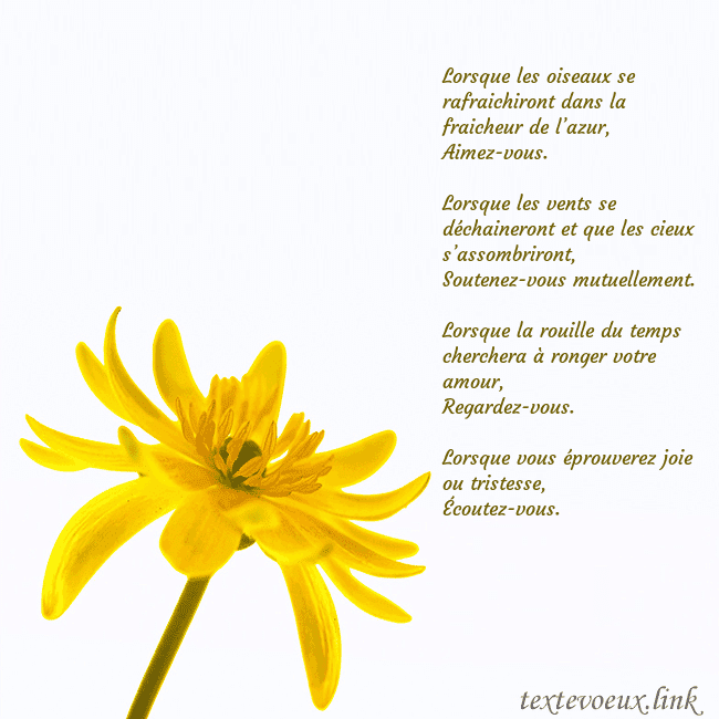 Carte de voeux avec fleur jaune Lorsque les oiseaux se rafraichiront dans la fraic Carte de voeux avec fleur jaune
