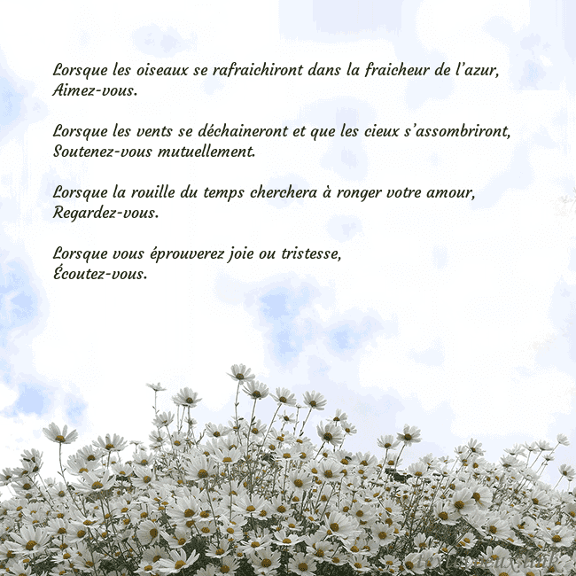 Carte de voeux avec marguerites Lorsque les oiseaux se rafraichiront dans la fraic Carte de voeux avec marguerites