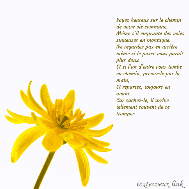 Carte de voeux avec fleur jaune Soyez heureux sur le chemin de votre vie commune,
Carte de voeux avec fleur jaune