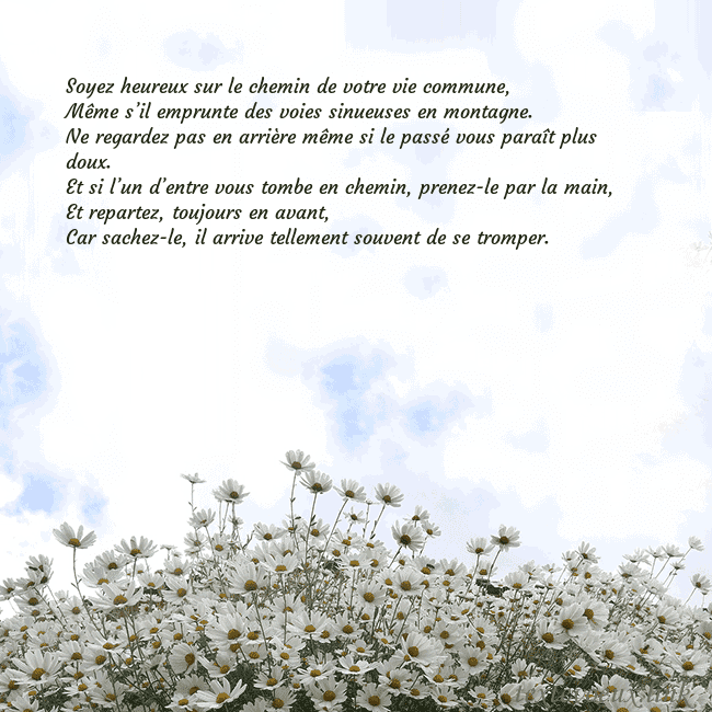 Carte de voeux avec marguerites Soyez heureux sur le chemin de votre vie commune,
Carte de voeux avec marguerites