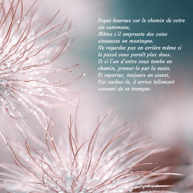 Carte postale avec des plantes duveteuses Soyez heureux sur le chemin de votre vie commune,
Carte postale avec des plantes duveteuses