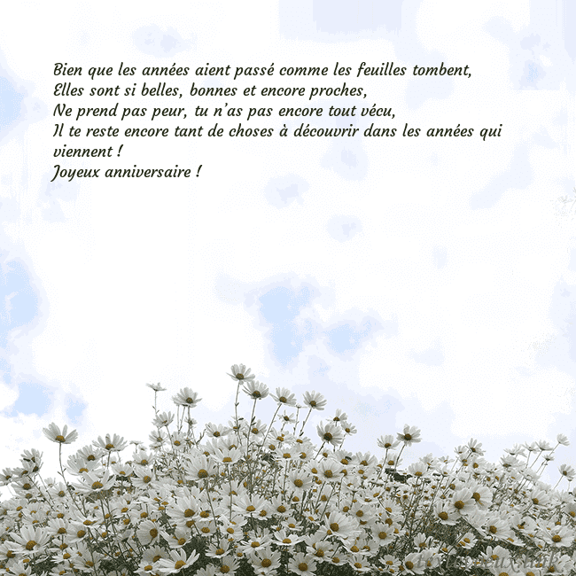 Carte de voeux avec marguerites