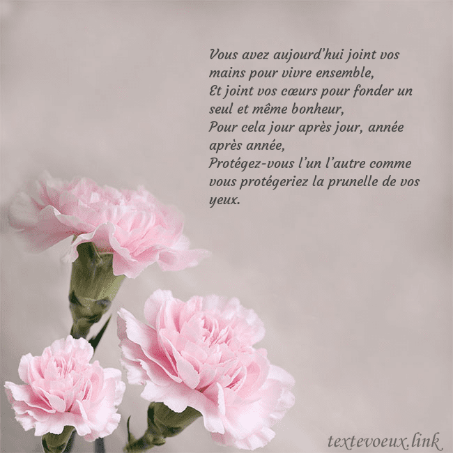 Carte de voeux avec oeillets roses Vous avez aujourd’hui joint vos mains pour vivre e Carte de voeux avec oeillets roses