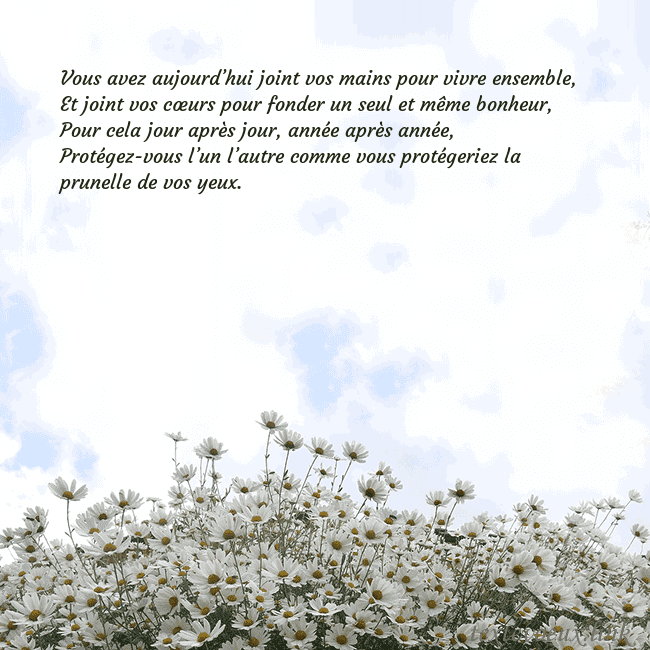 Carte de voeux avec marguerites Vous avez aujourd’hui joint vos mains pour vivre e Carte de voeux avec marguerites