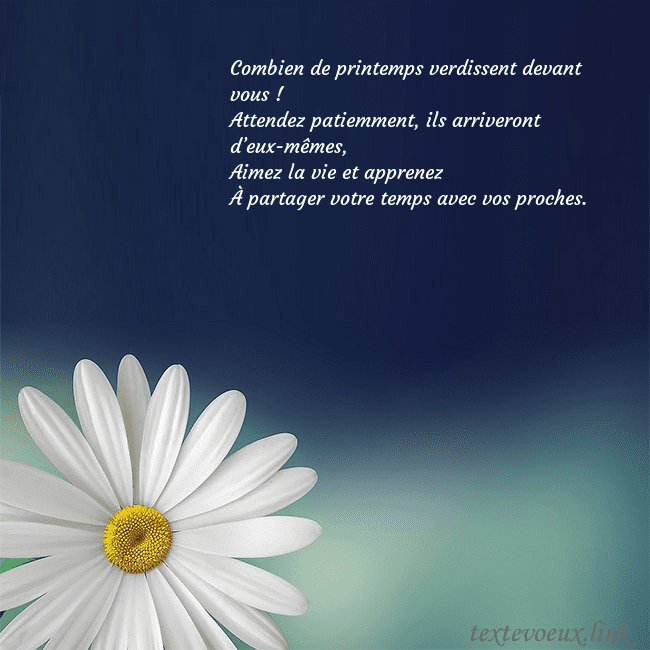 Carte postale avec une grande marguerite Combien de printemps verdissent devant vous !
Atte Carte postale avec une grande marguerite