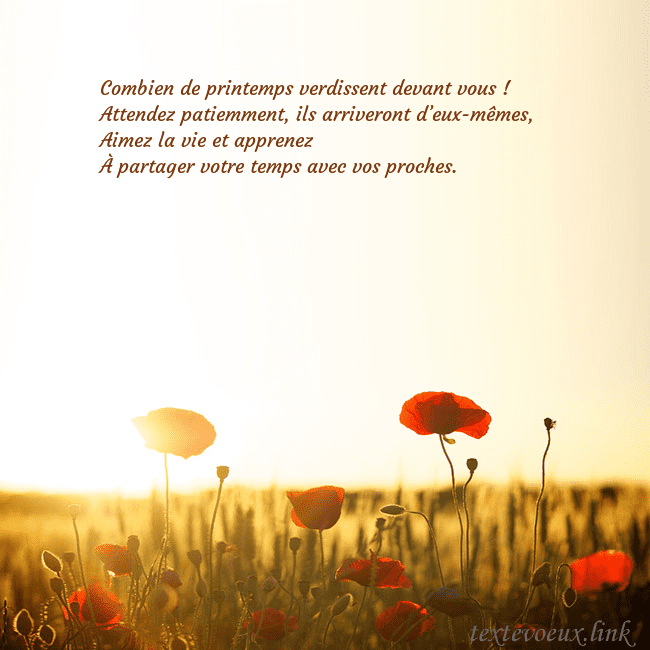 Carte postale électronique avec soleil et champ de coquelicots