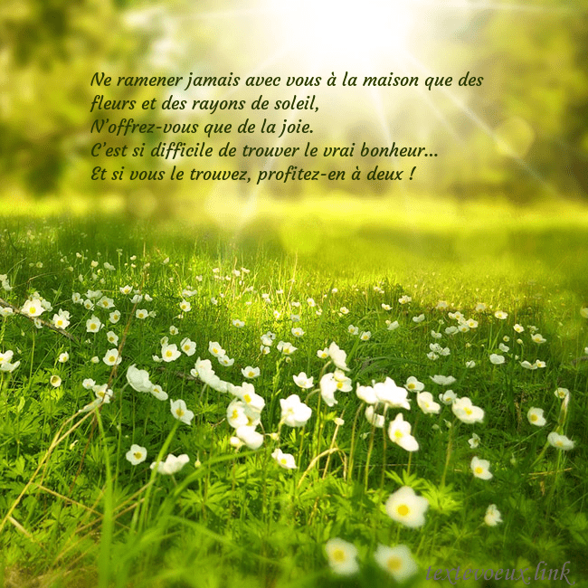 Carte électronique avec soleil et prairie