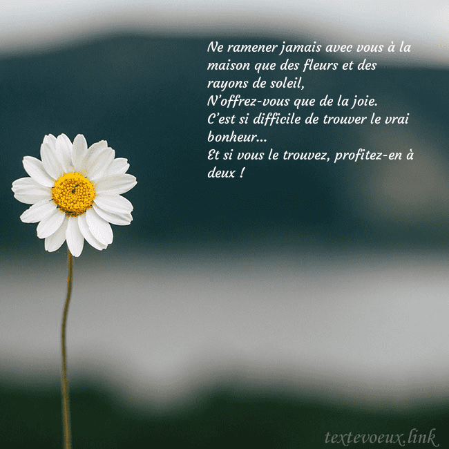 E-carte avec marguerite