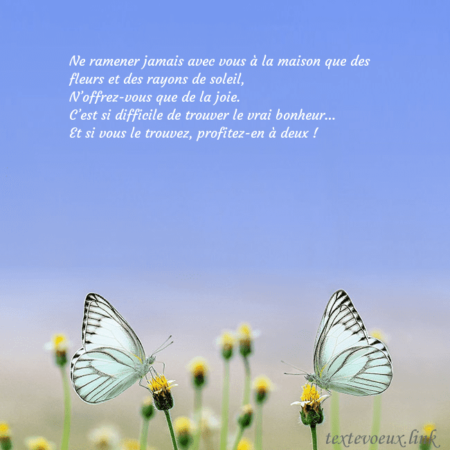 Carte de mariage avec deux papillons