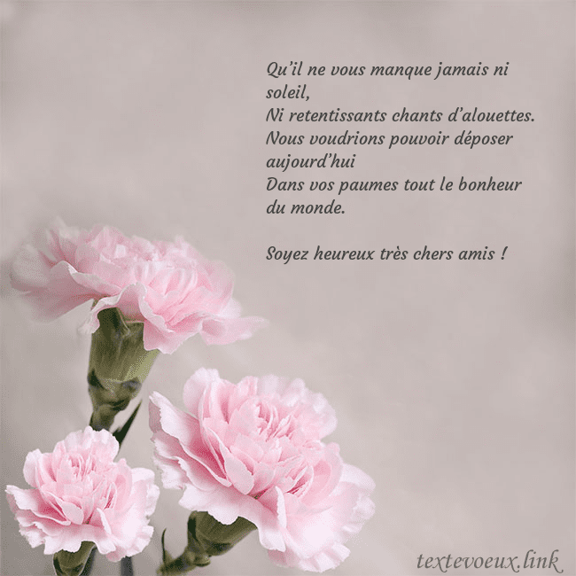 Carte de voeux avec oeillets roses Qu’il ne vous manque jamais ni soleil,
Ni retentis Carte de voeux avec oeillets roses