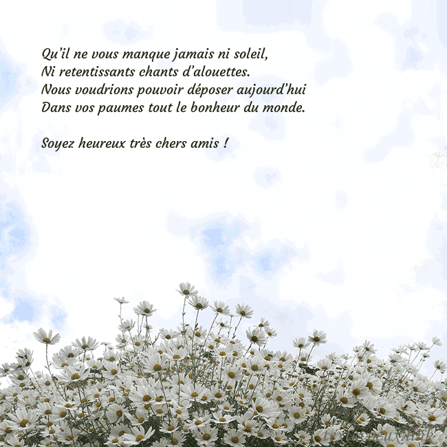 Carte de voeux avec marguerites Qu’il ne vous manque jamais ni soleil,
Ni retentis Carte de voeux avec marguerites