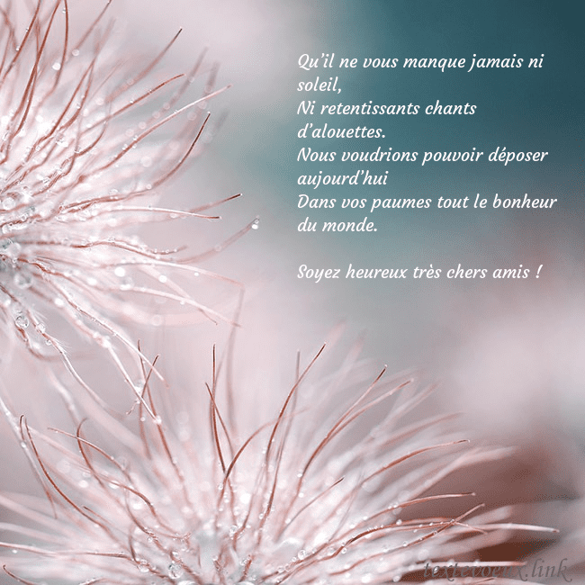 Carte postale avec des plantes duveteuses Qu’il ne vous manque jamais ni soleil,
Ni retentis Carte postale avec des plantes duveteuses