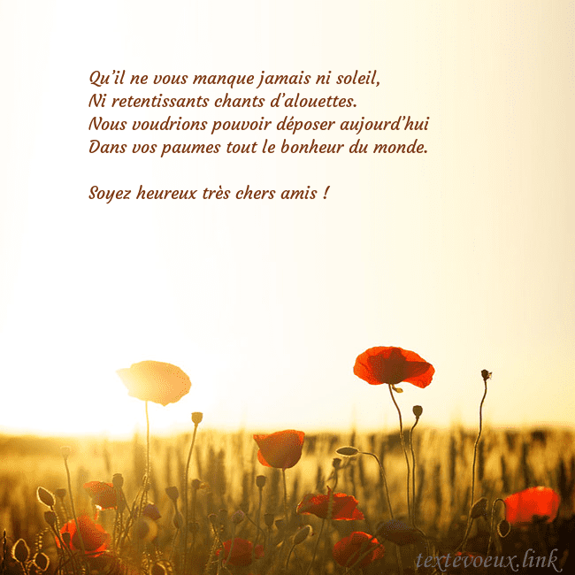 Carte postale électronique avec soleil et champ de coquelicots Qu’il ne vous manque jamais ni soleil,
Ni retentis Carte postale électronique avec soleil et champ de coquelicots