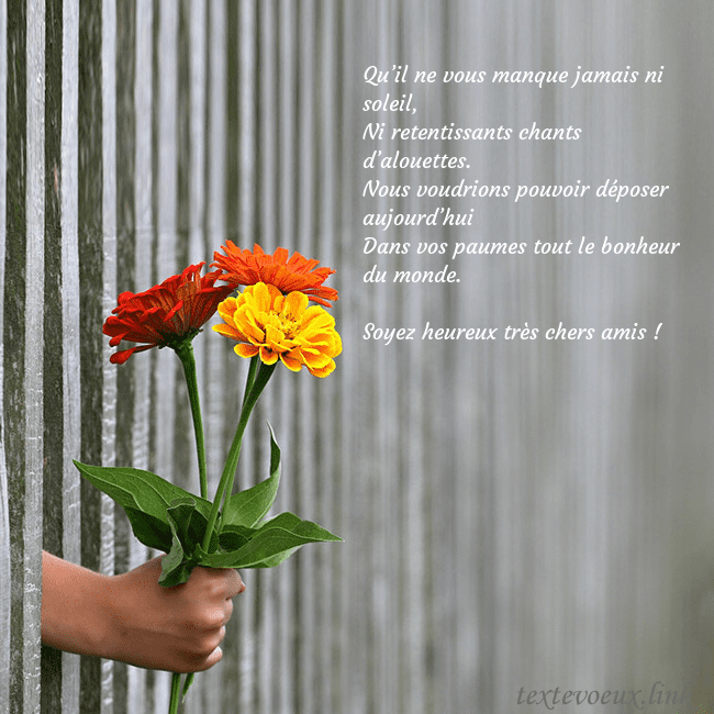 Carte électronique avec un bouquet de fleurs Qu’il ne vous manque jamais ni soleil,
Ni retentis Carte électronique avec un bouquet de fleurs