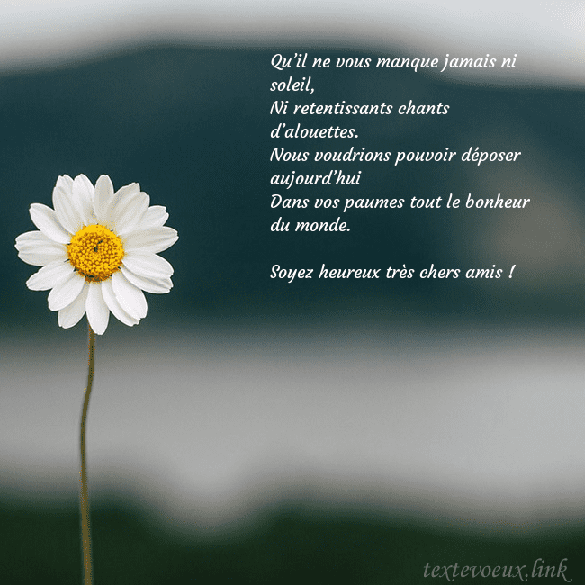E-carte avec marguerite Qu’il ne vous manque jamais ni soleil,
Ni retentis E-carte avec marguerite