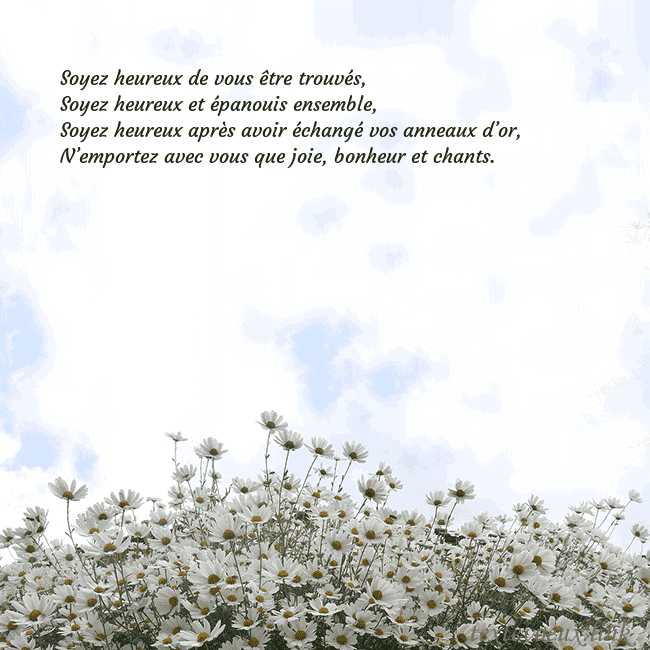 Carte de voeux avec marguerites Soyez heureux de vous être trouvés,
Soyez heureux Carte de voeux avec marguerites