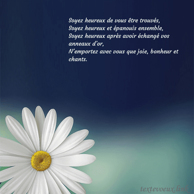 Carte postale avec une grande marguerite Soyez heureux de vous être trouvés,
Soyez heureux Carte postale avec une grande marguerite