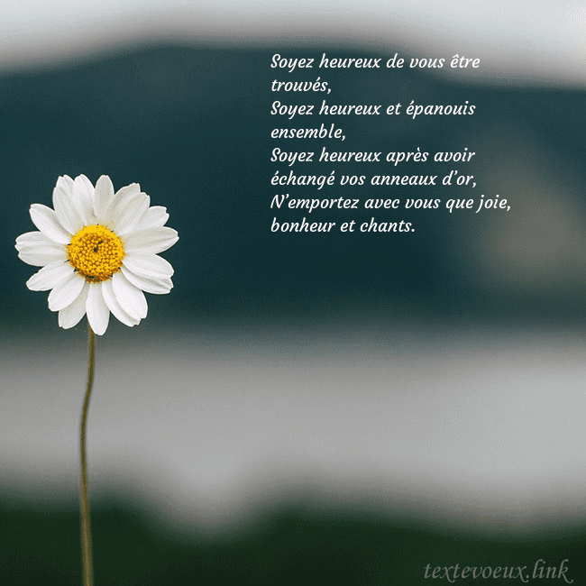 E-carte avec marguerite Soyez heureux de vous être trouvés,
Soyez heureux E-carte avec marguerite