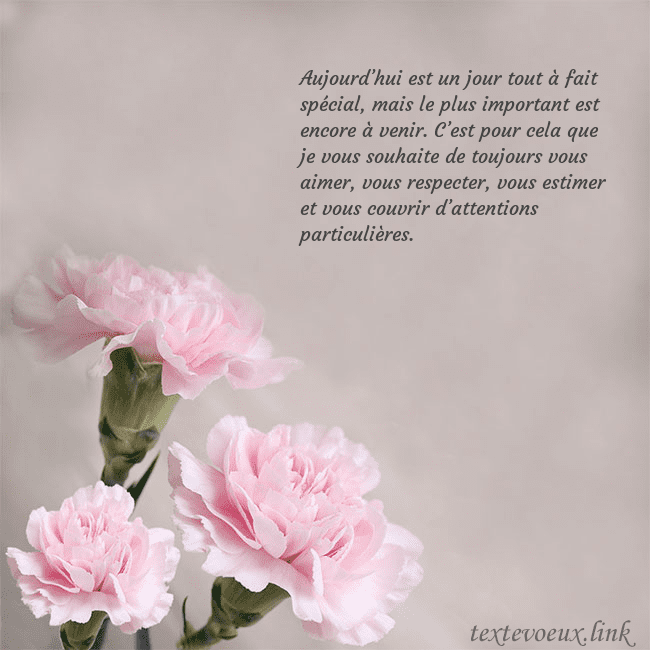 Carte de voeux avec oeillets roses Aujourd’hui est un jour tout à fait spécial, mais Carte de voeux avec oeillets roses