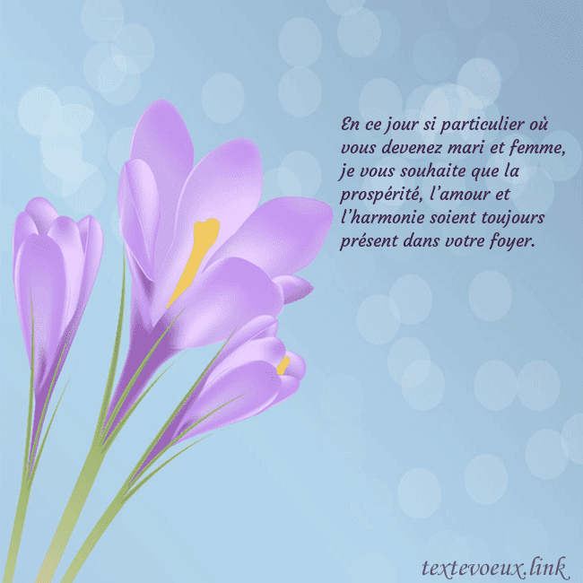 Cartes de vœux avec crocus