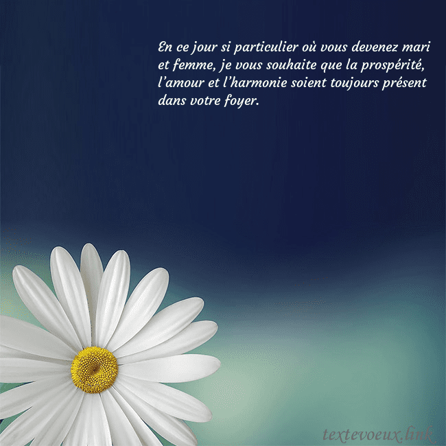 Carte postale avec une grande marguerite